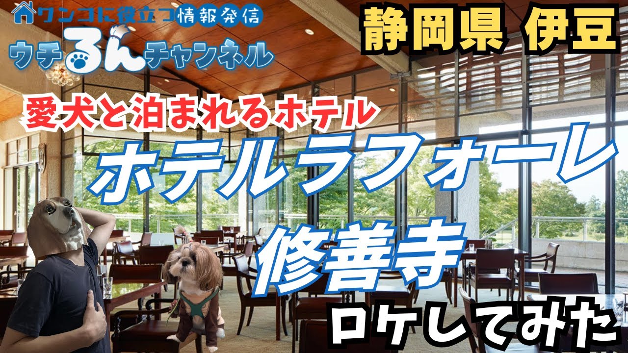 【愛犬と泊まれるホテル】ホテルラフォーレ修善寺【静岡県 伊豆】