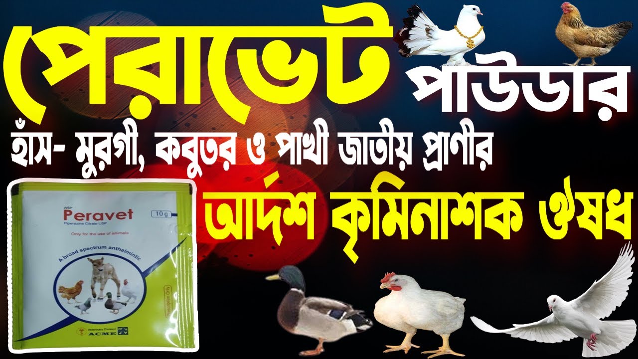 Peravet Powder | হাঁস-মুরগি কবুতরের কৃমিনাশক ঔষধ খাওয়ানো নিয়ম |পেরাভেট || Piperazin