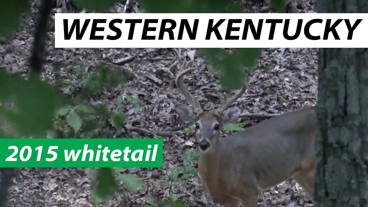 2015 Western Kentucky Bow Hunt