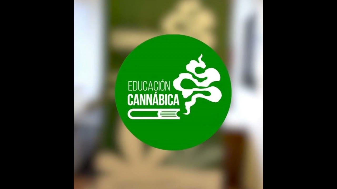 13. Todo sobre Educaci&oacute;n Cann&aacute;bica