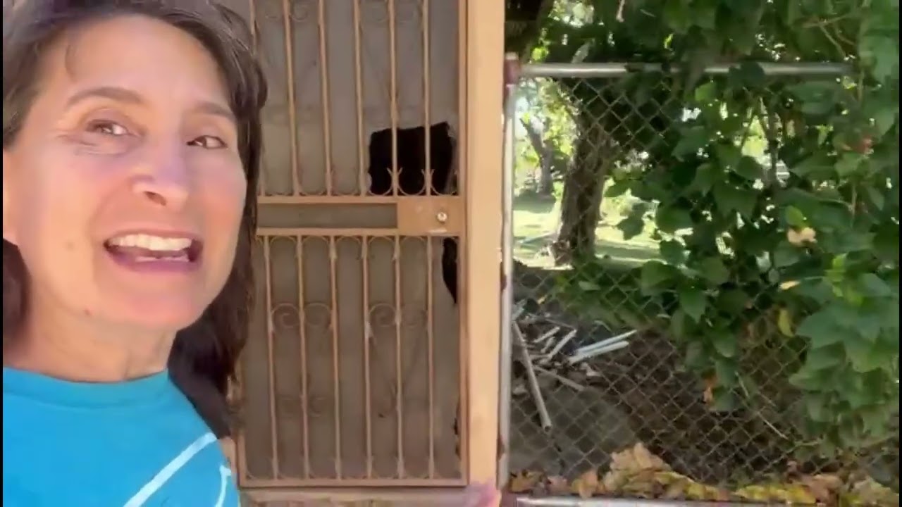 Will the Animals Finally Have Water?