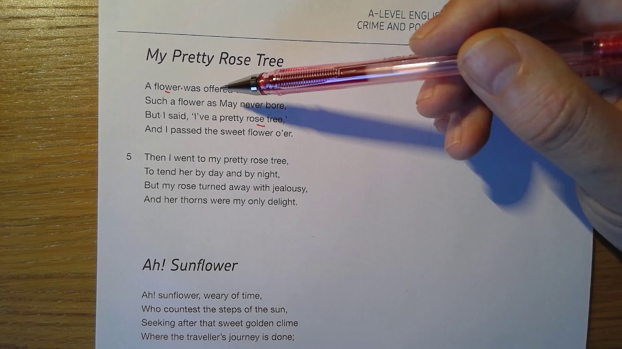 Y12 Lit: My Pretty Rose Tree by William Blake