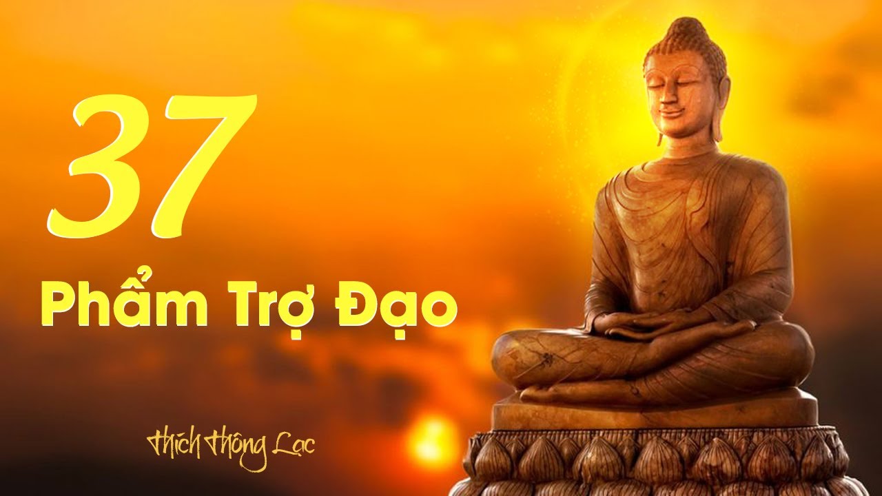 37 Phẩm Trợ Đạo | Thích Thông Lạc | Tu Tập Phật Pháp
