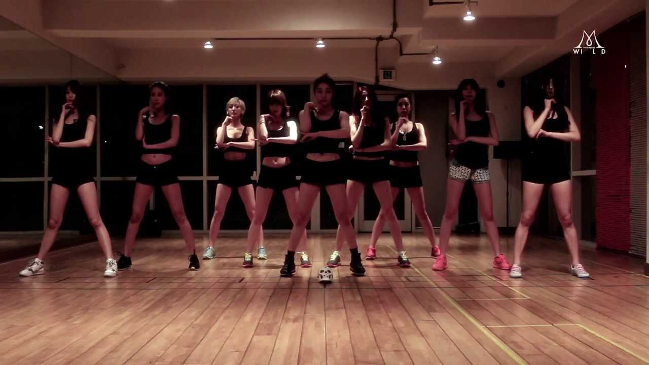 나인뮤지스[9MUSES] 와일드(WILD) 안무연습 영상공개