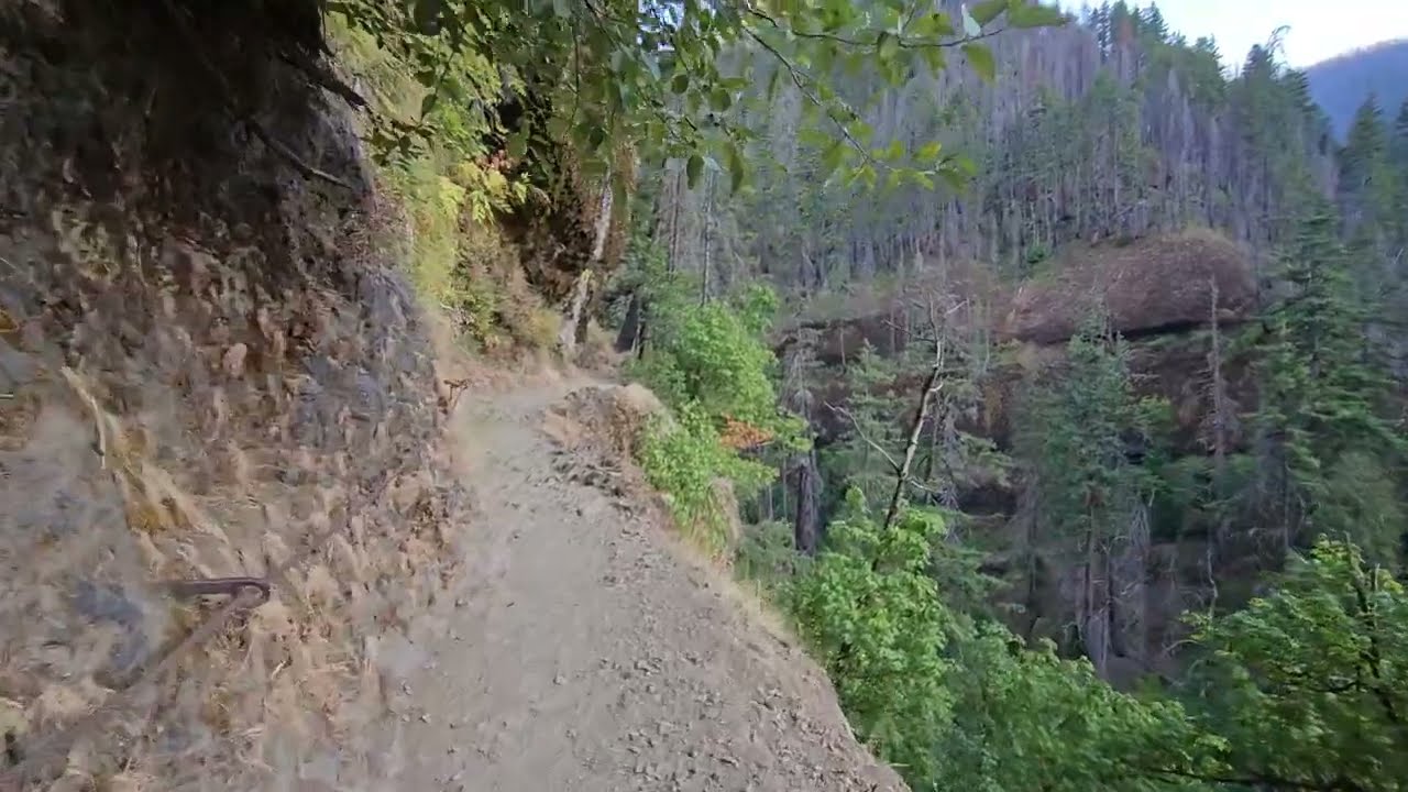 Eagle Creek Trail Mile 12, PCT Alternate (~PCT Mile 2145), OR