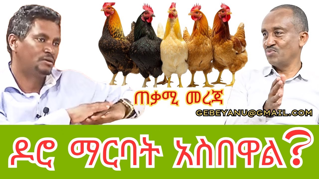#ethiopia ጠቃሚ መረጃ ዶሮ እርባታ መጀመር ለሚያስቡ #habesha