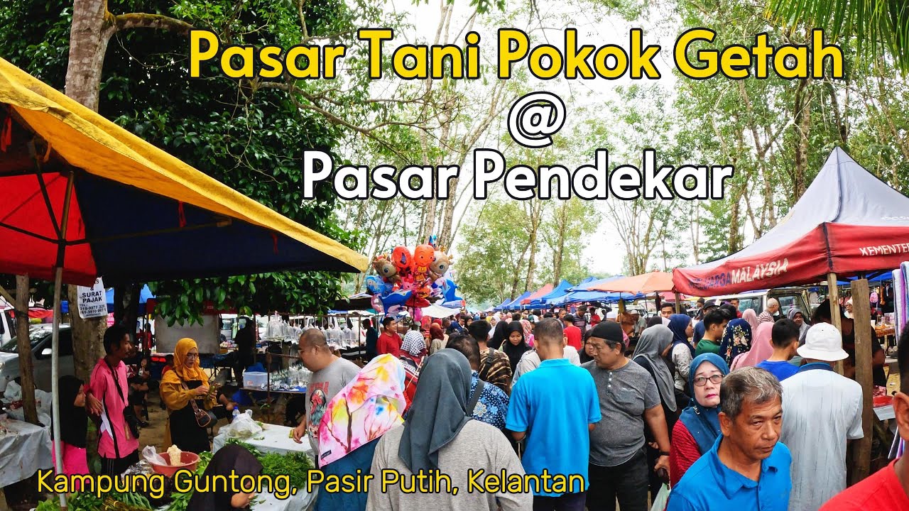 Pasar Tani Pokok Getah Pasir Putih Kelantan