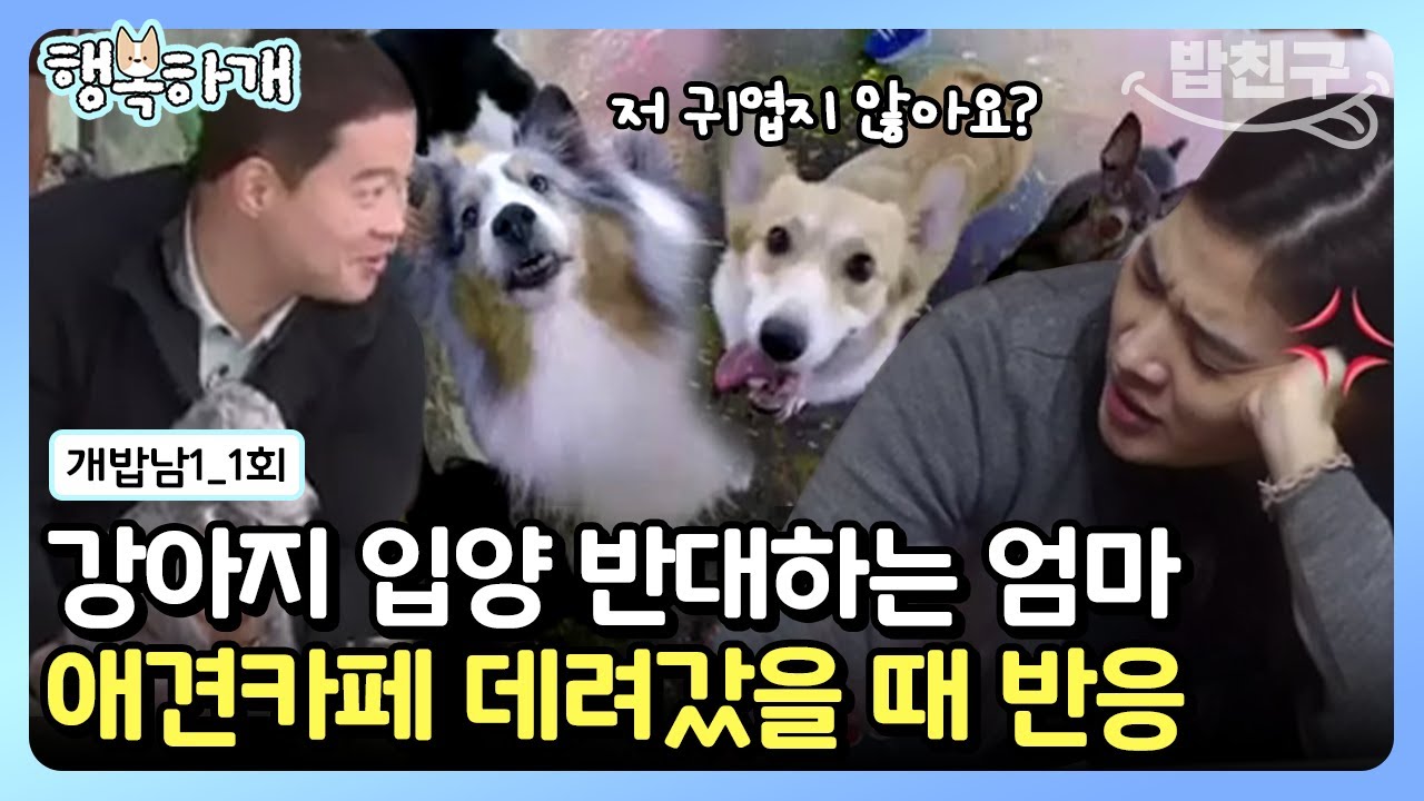 [#행복하개] 강아지 입양 반대하는 현주엽 아내! 아내 설득해서 강아지 키우기 대작전🤸🏻‍ | 개밥 주는 남자 시즌1 1 회