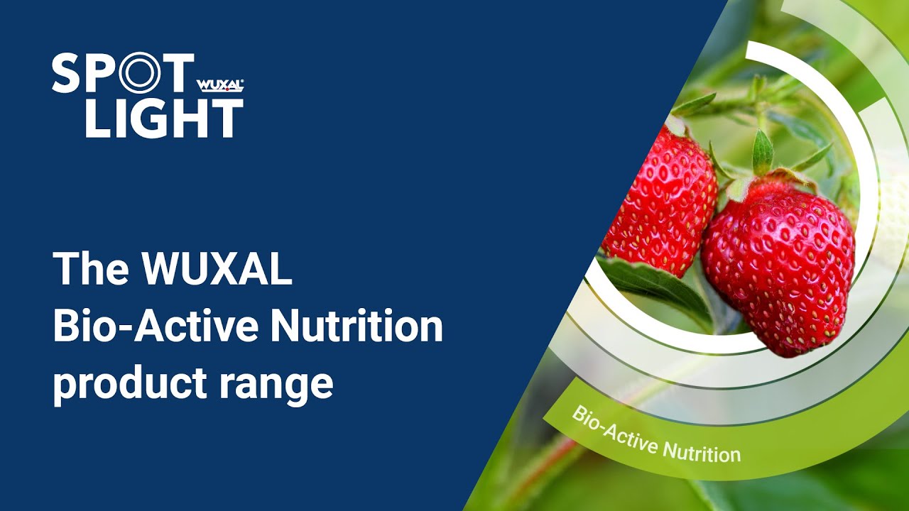 WUXAL Bio-Active Nutrition | Closing the Yield Gap with WUXAL Biostimulants