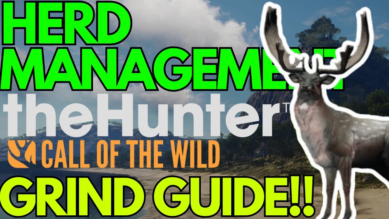 HERD MANAGEMENT EXPLAINED!! - Call of the Wild