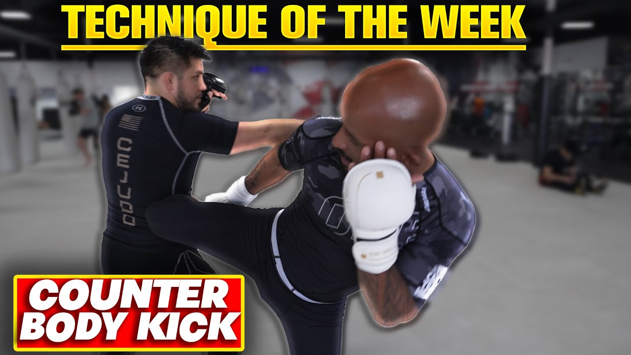 TECHNIQUE OF THE WEEK: Henry Cejudo & Demetrious Johnson Demonstrate The SLICK Counter Body Kick!