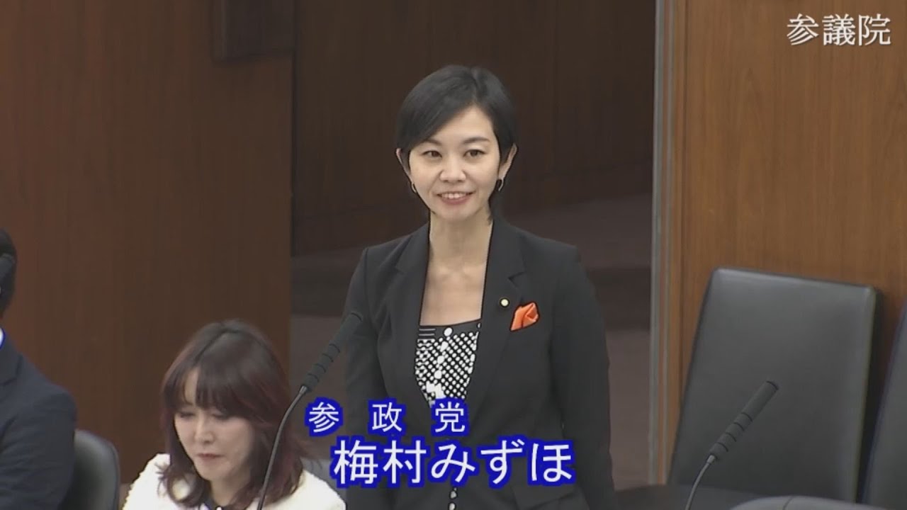 2025.12.02 厚生労働委員会・質疑　梅村みずほ
