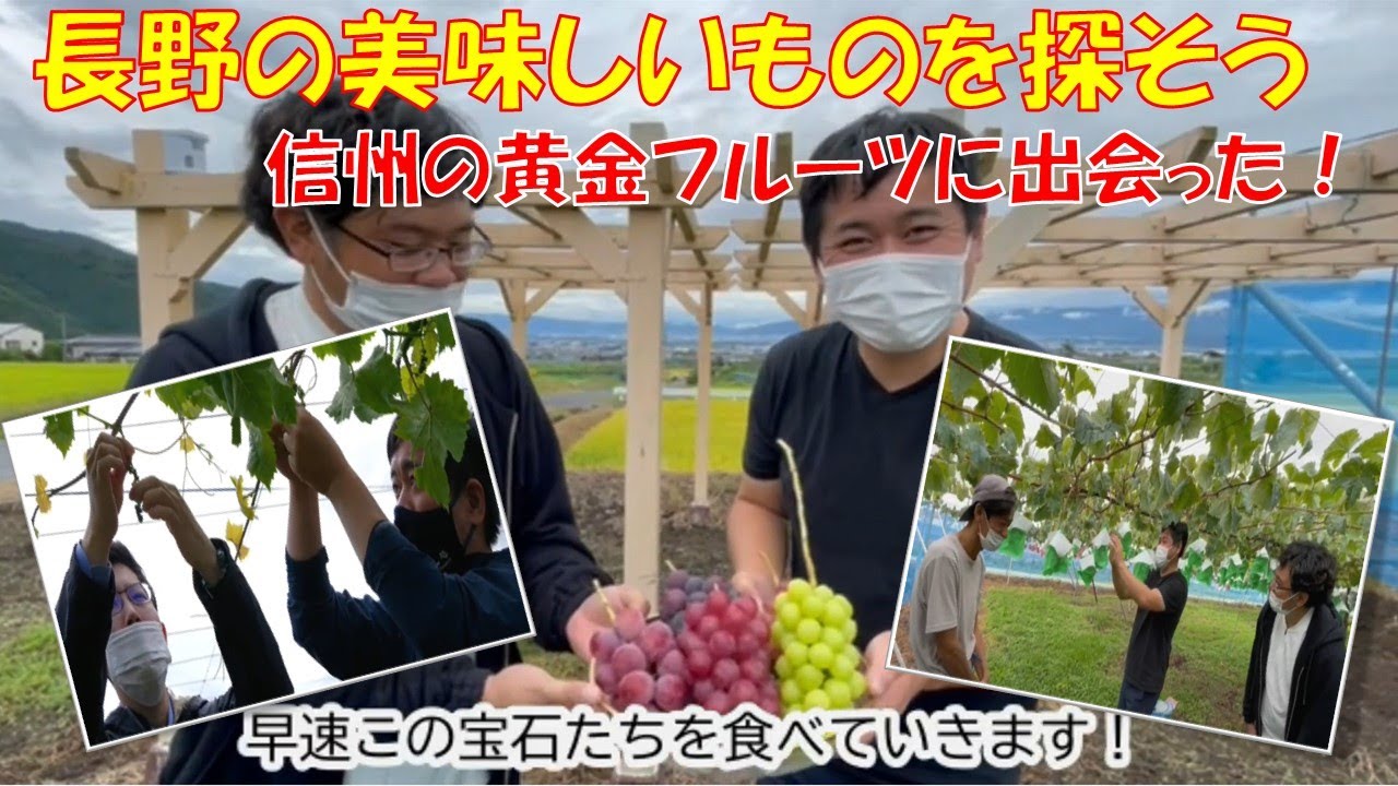 長野の魅力発掘・発信！～長野ってすごい！～「長野県産食材体験レポート編」③「信州の黄金フルーツ」編