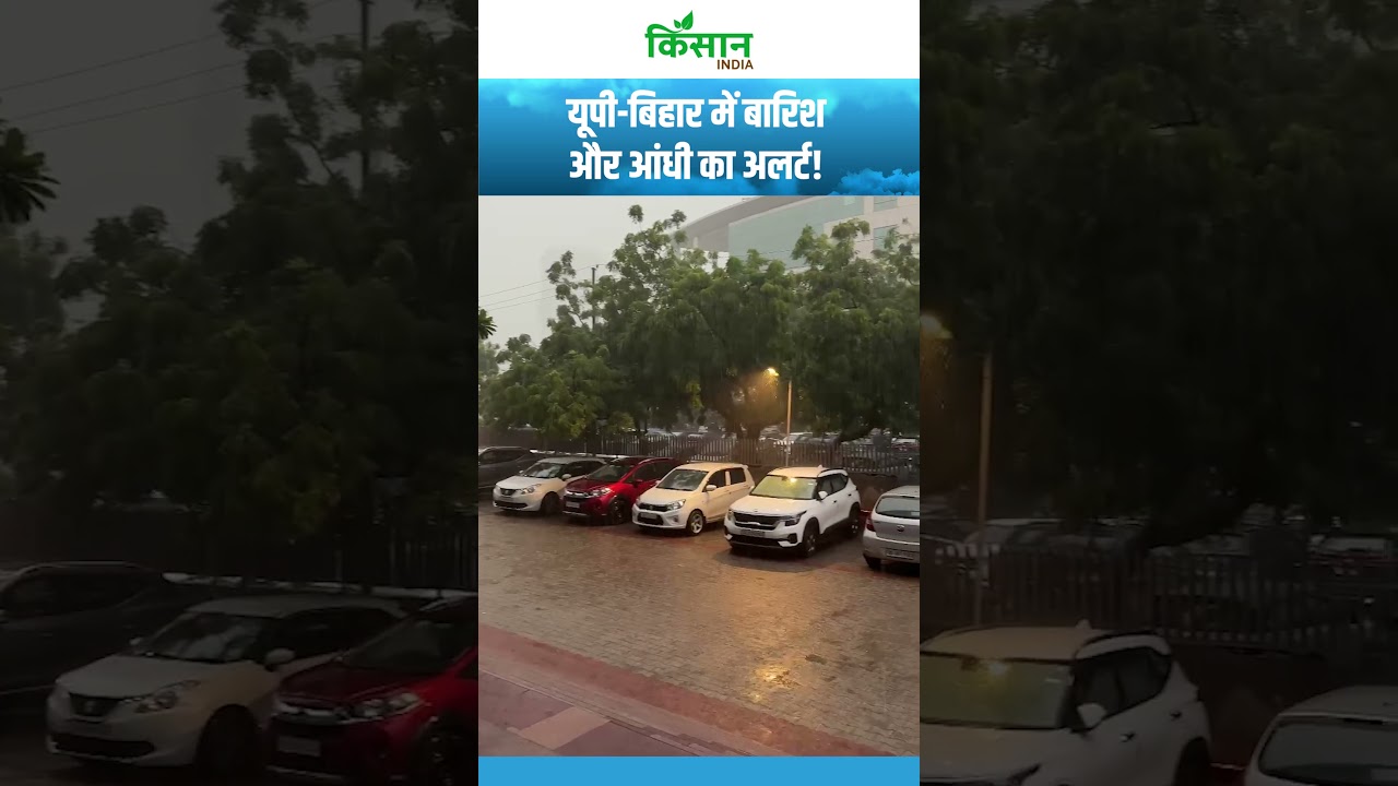 Today's Weather | Alert for heavy rain and stormy winds in 21 states, torrential rain in several ...