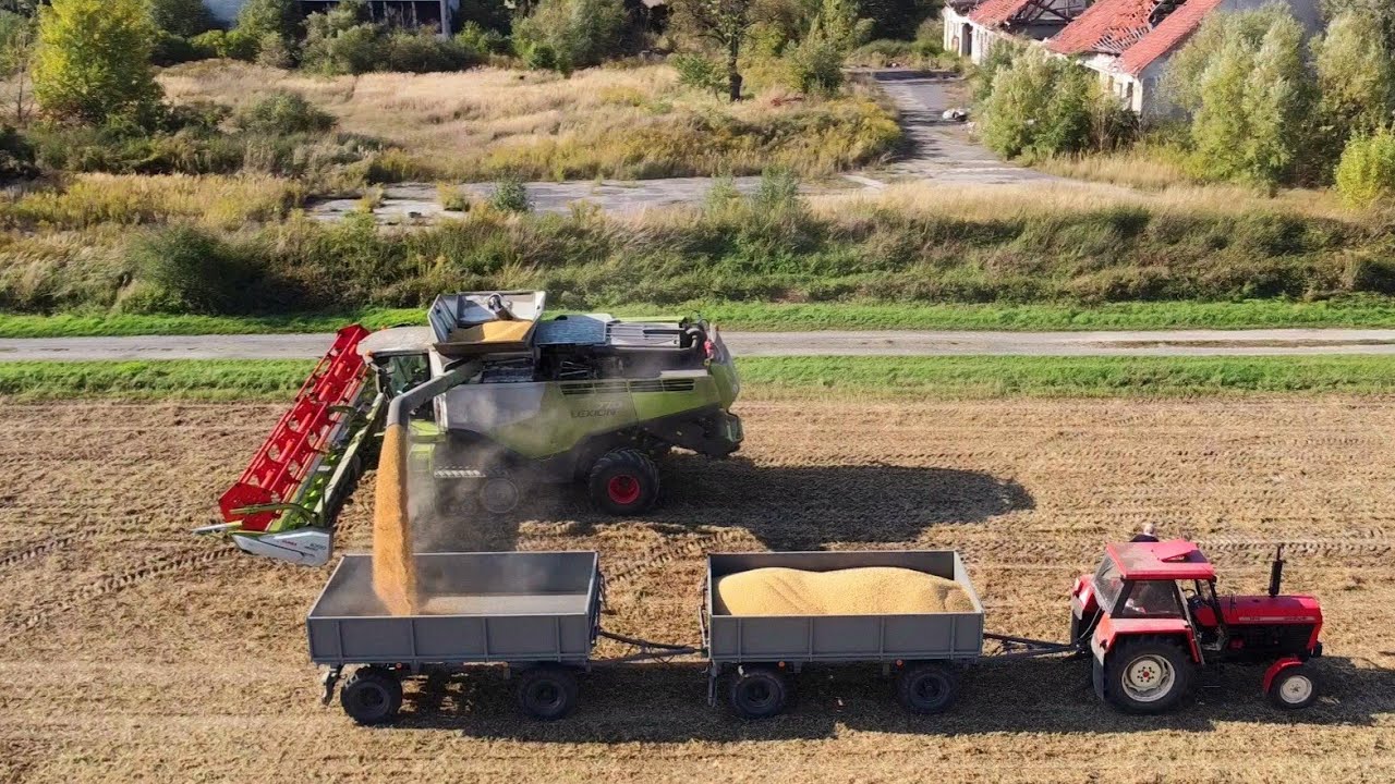 Żniwa SOI | 3x Lexion | 3x URSUS | 1614&1012 | 2x8700 & 770