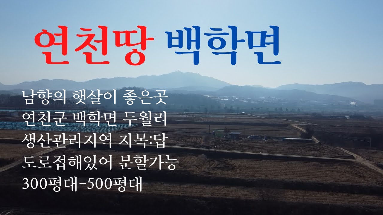 [연천땅3분브리핑] 연천군 백학면 두일리 생산관리 361평