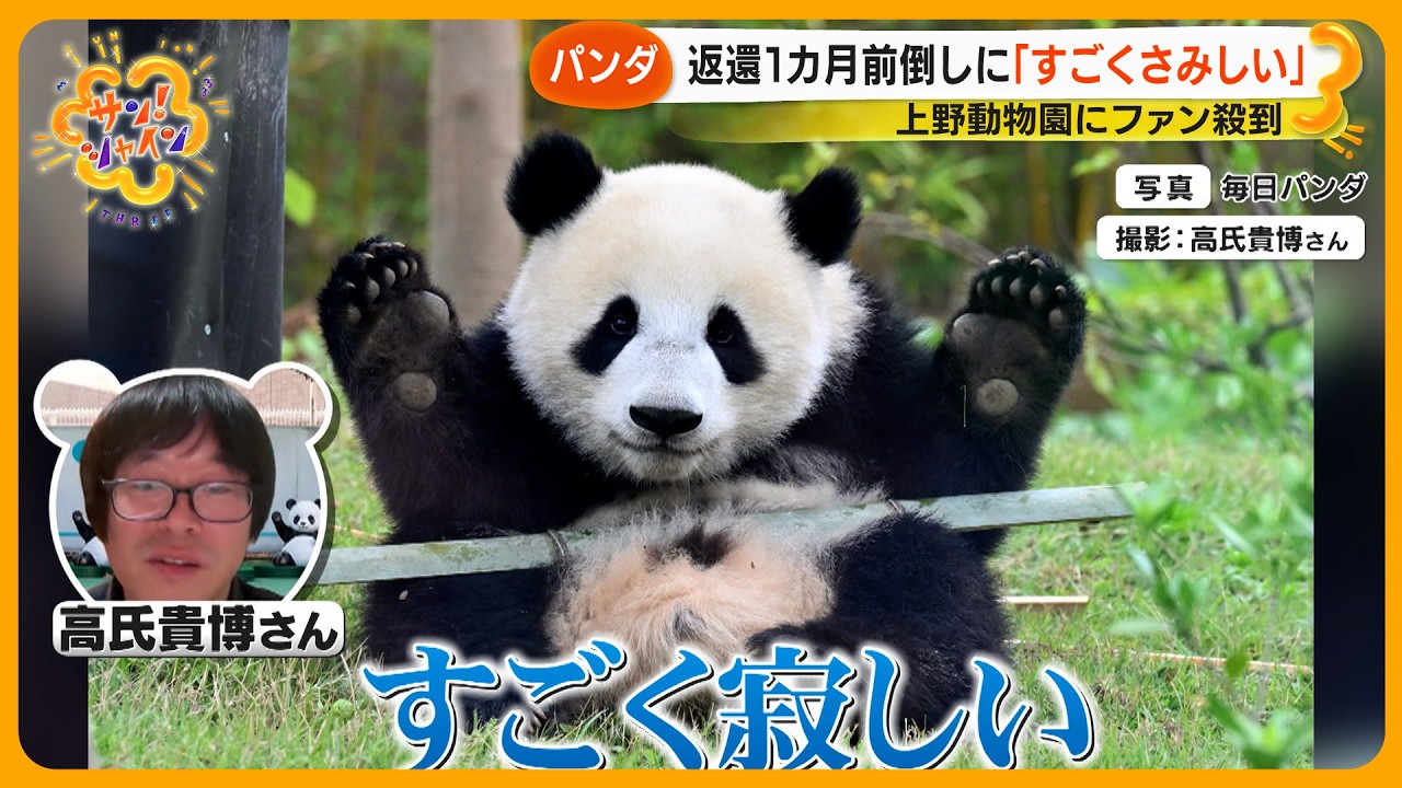【動揺】返還発表の双子パンダ・シャオシャオとレイレイに大行列…50年ぶり国内飼育ゼロに【サン！シャインニュース】