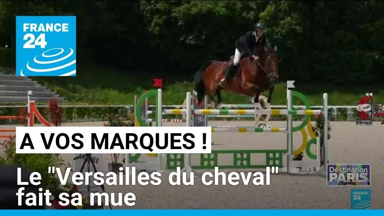 &Agrave; vos marques : Au Haras national du Pin, le 