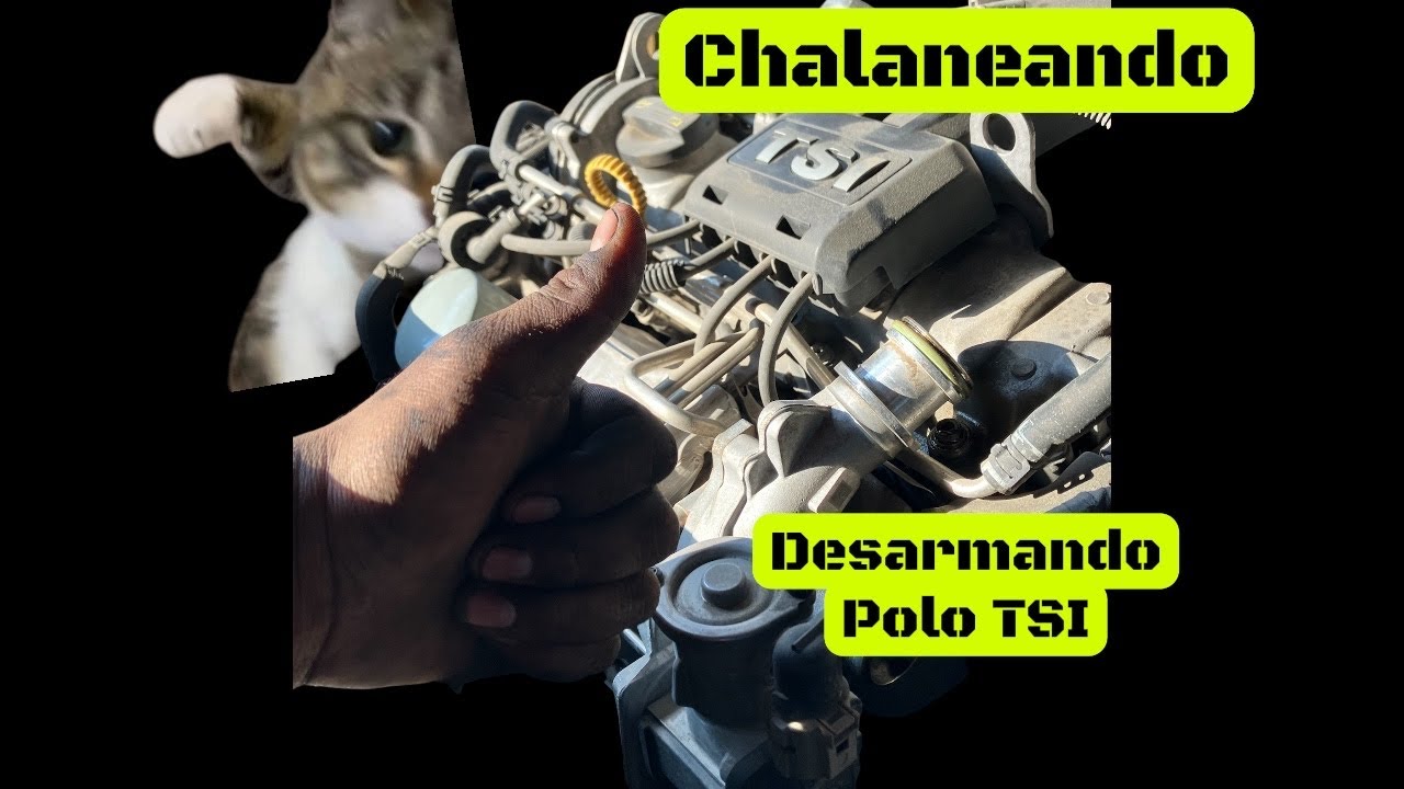 👨🏽‍🔧 Chalaneando | En vivo | Desarmando Volkswagen TSI | Cambio de cartucho del turbo. 😎🫵🏽