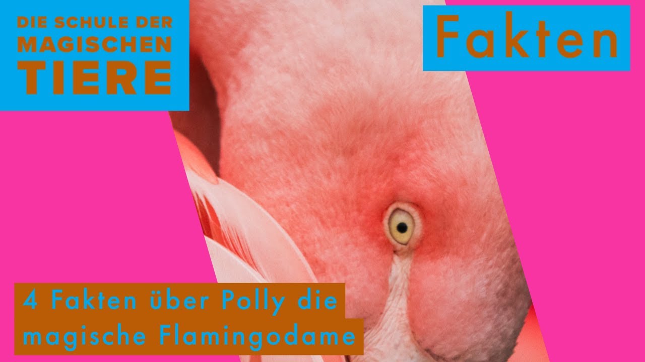 4 Fakten über die magische Flamingodame Polly - Die Schule der magischen Tiere
