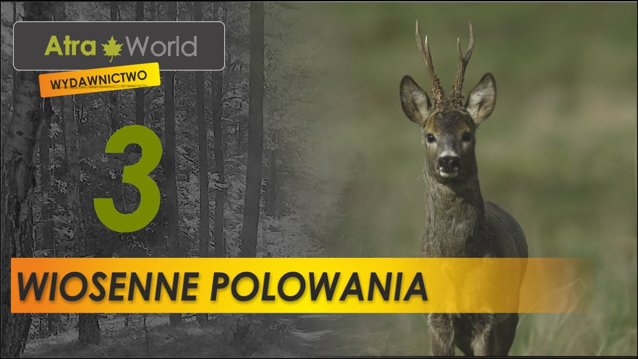 Wiosenne polowania