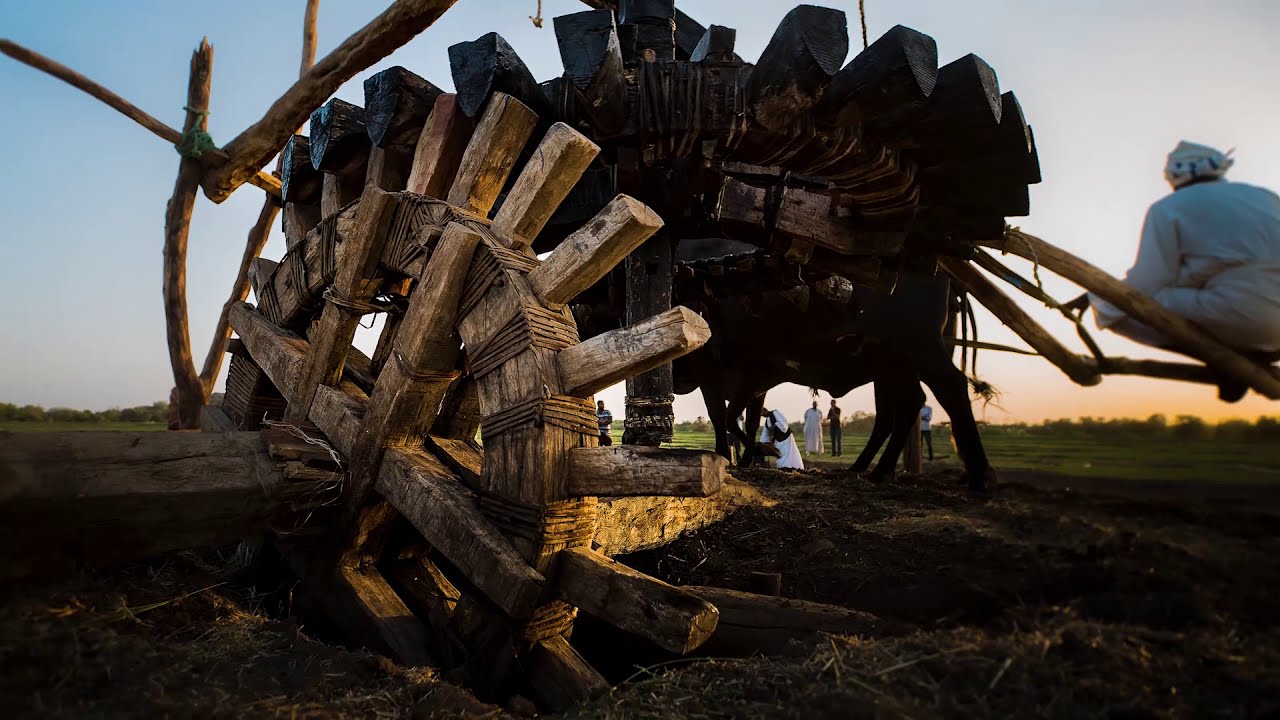 Sudan Layout Documentary: Cow-driven Waterwheel