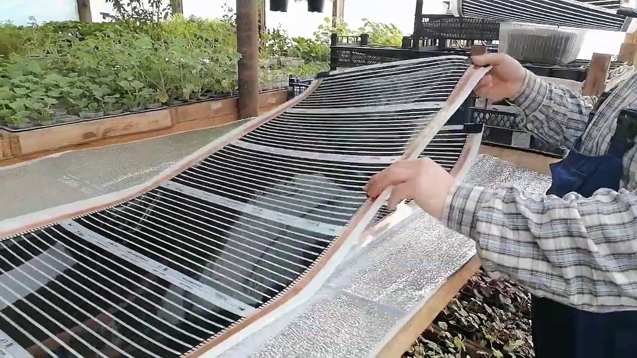 Расстилаем Инфракрасную плёнку для теплых стеллажей в отапливаемой теплице, будем  черенковать цветы