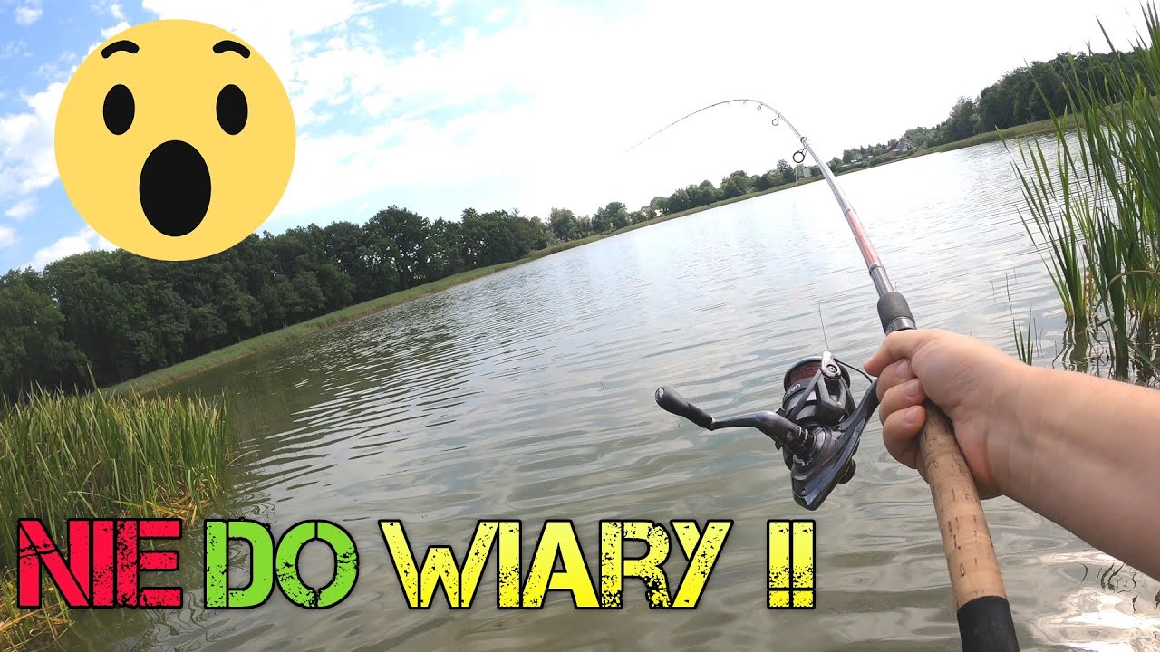 Rekordowy Dzień !! Takiego Wypadu Jeszcze Nie Miałem !! Method Feeder Na Pzw !! Wędkarstwo !! Ryby !