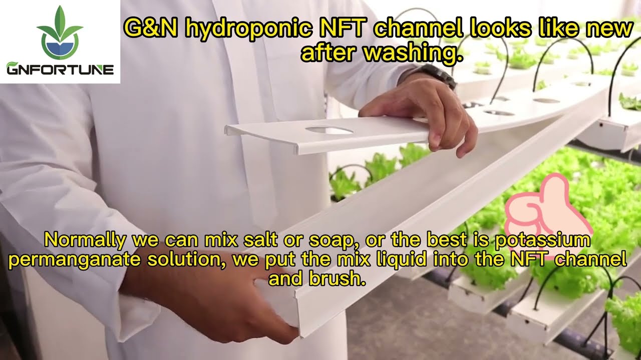 How to clean hydroponic NFT system? So easy!