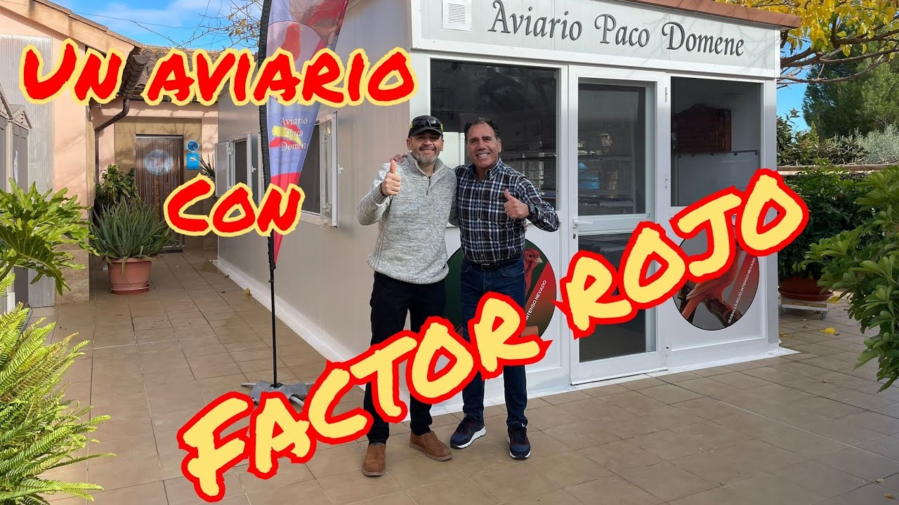 Un aviario con Factor Rojo(Paco Domene)
