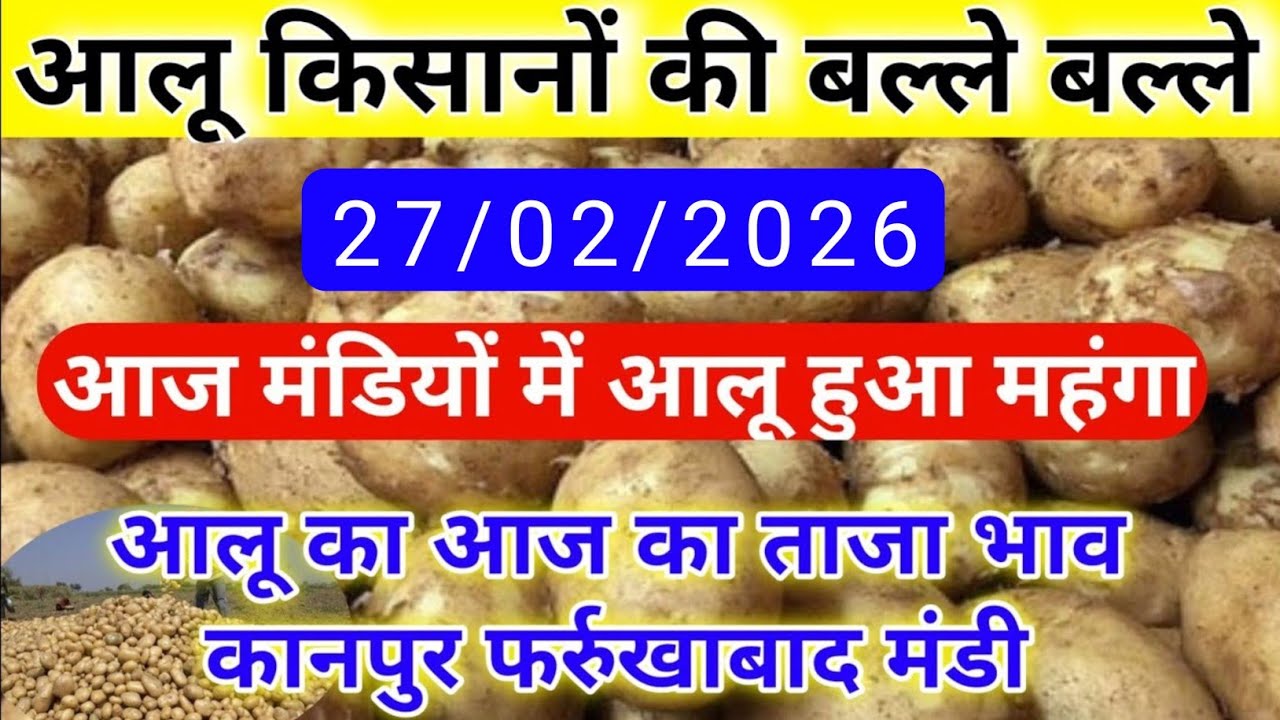 February 27, 2026 आलू भाव में आई तेज़ी फर्रुखाबाद मंडी, Aalu Mandi bhav today, Aalu ka aaj ka bhav 