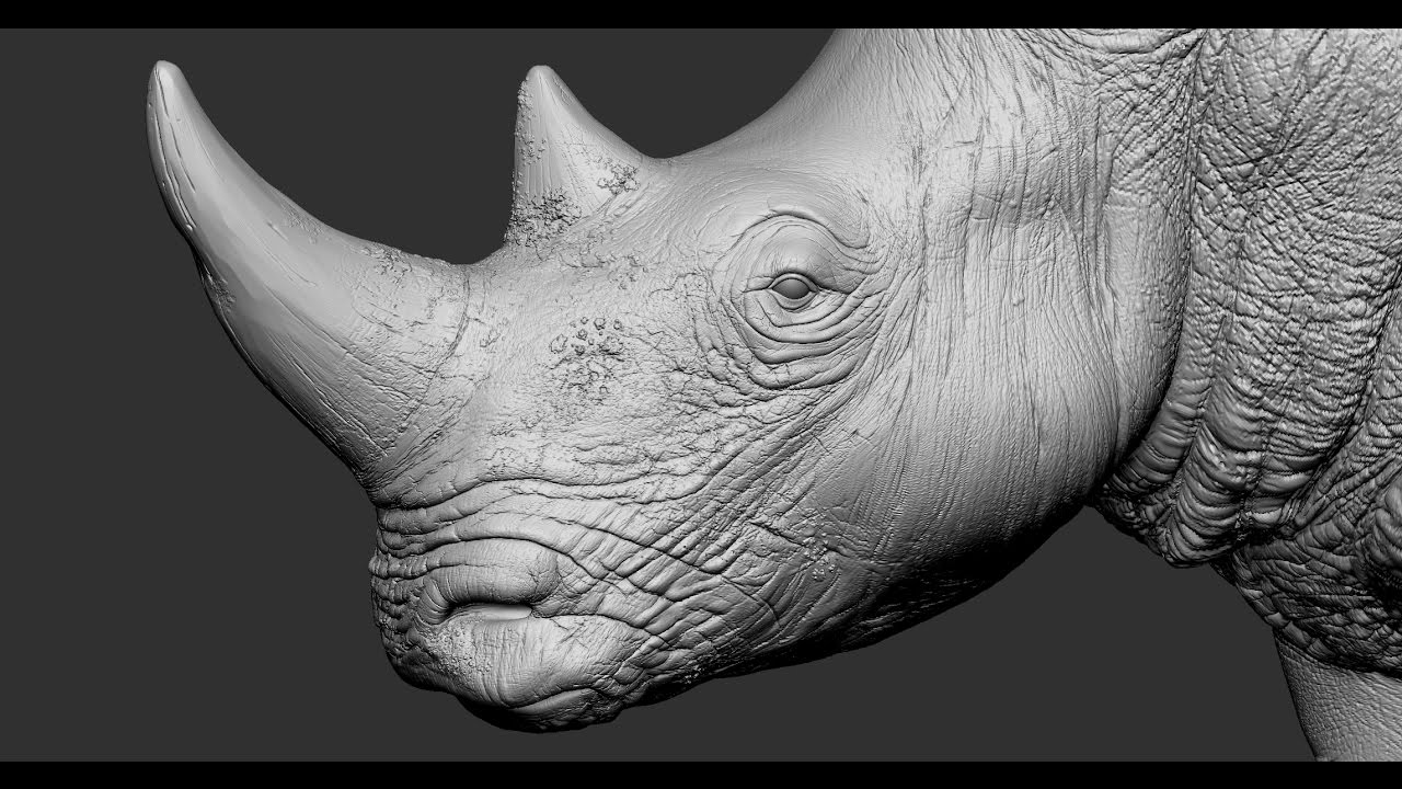 Rhino sculpting time lapse in Zbrush / Скульптинг носорога в ZBrush