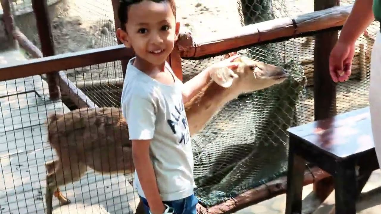 LIBURAN KELUARGA DI SOLO SAFARI! Anak anak Seneng Banget!
