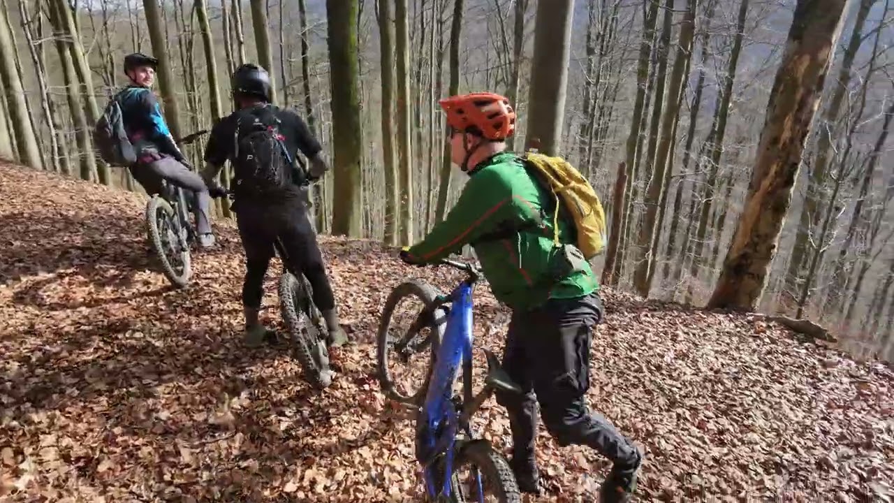 eMTB Trail Tour Süd-West-Harz ###KTM###CUBE###GIANT