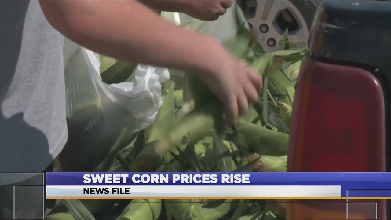 Sweet Corn Prices Rise