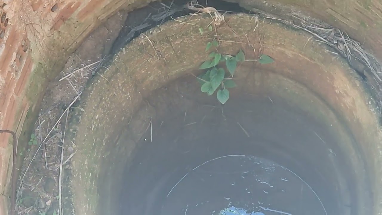 Sítio a venda em Taquaritinga do norte pe. ZP 81989075050
