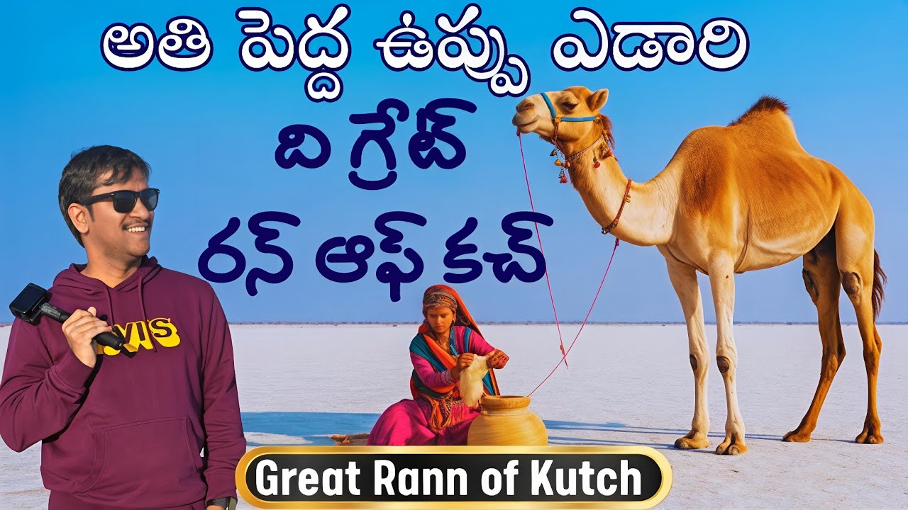 The Great Rann of Kutch Travel Vlog Telugu | White Desert Gujarat