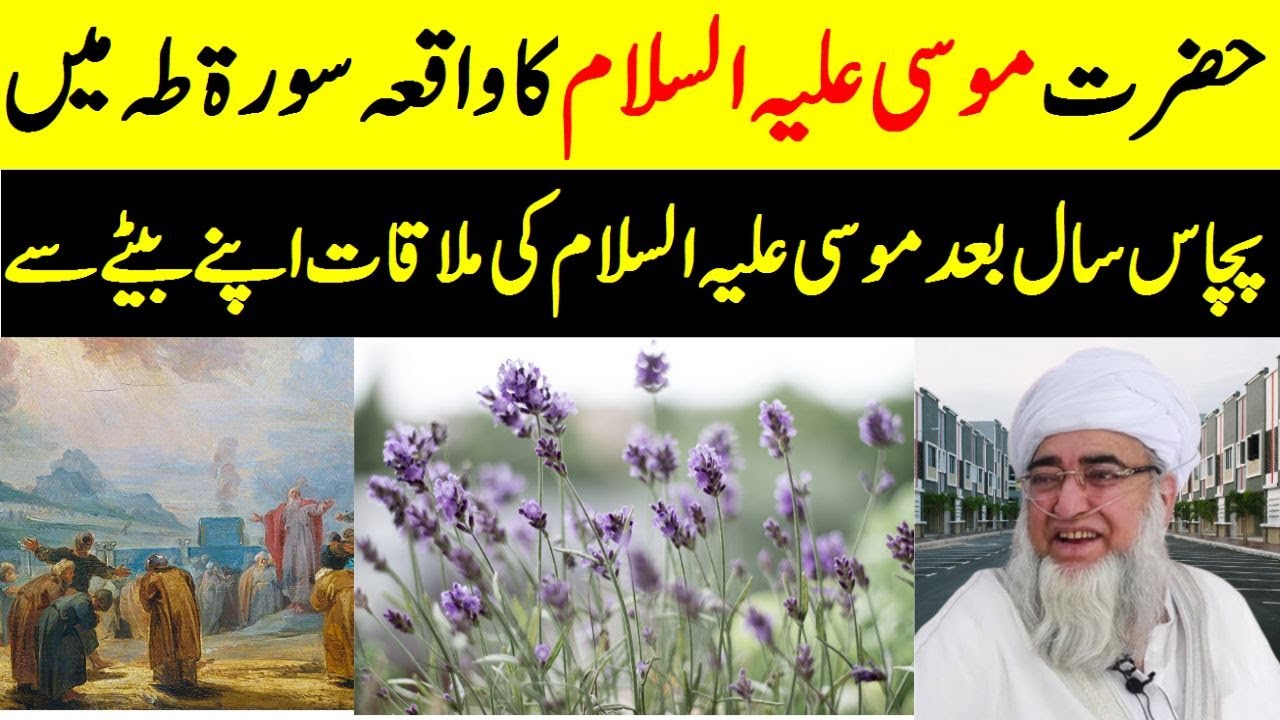Fifty years later, Moses met his son || Prophet Musa AS Story || Mufti Zarwali Khan Official