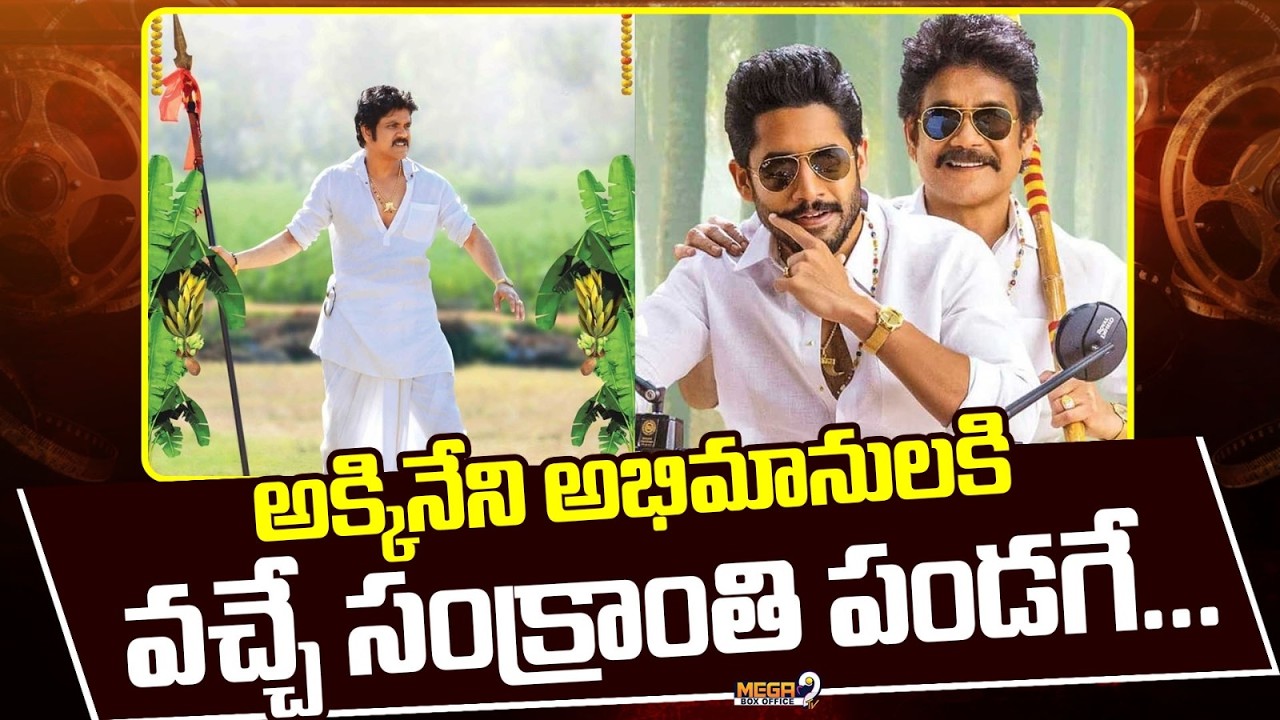 Akkineni Fans : అక్కినేని అభిమానులకి వచ్చే సంక్రాంతి పండగే! | Sankranthi 2027 | Mega9 Tv BoxOffice