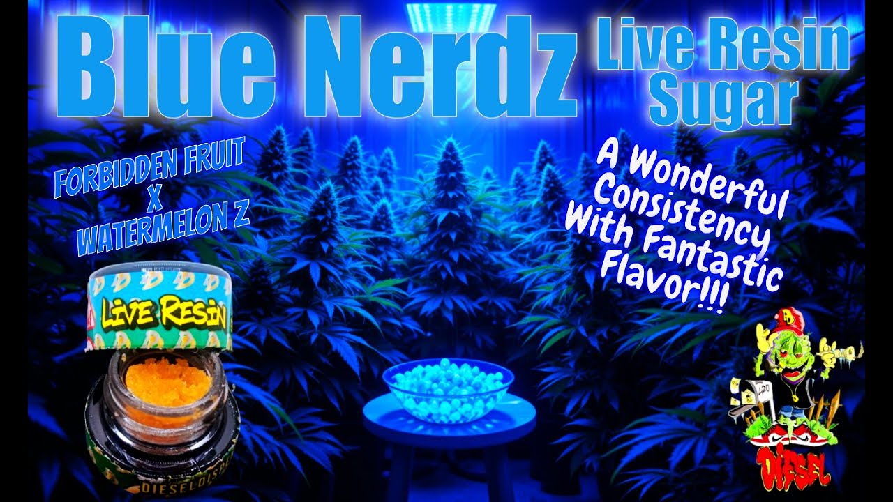 Trying Diesel Dispensary Blue Runtz THCa Live Resin Sugar - Sweet, Sweet Sugar!