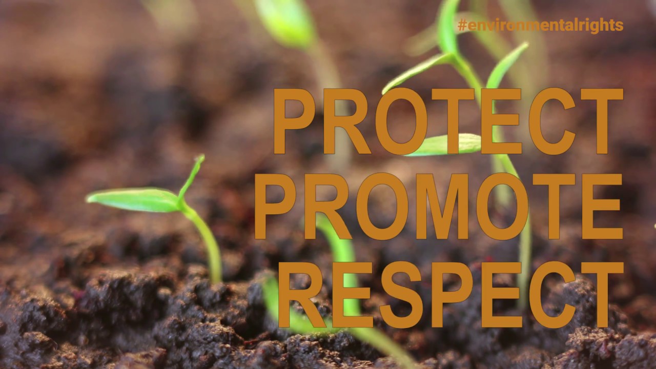 Environmental Rights Initiative