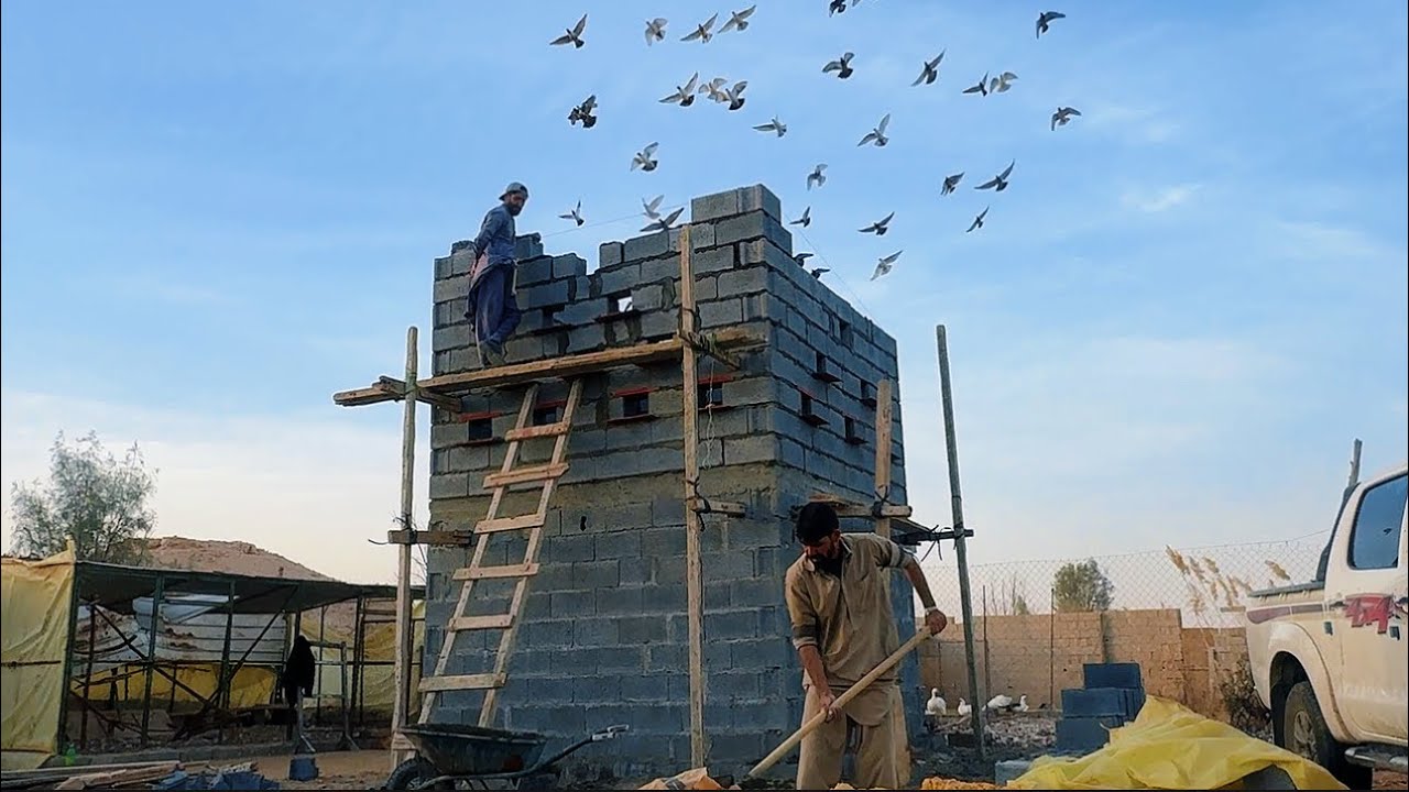 انجاز رهيب في برج الحمام 🕊️وارتفاع رهيب 😊👌