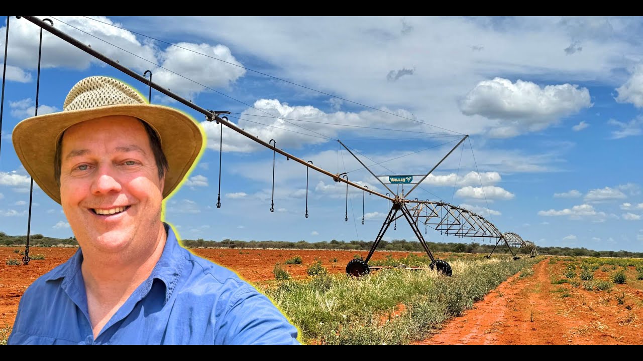 771 hektaar JAGPLAAS  met Besproeiing en Grootvee (beeste), Ellisras  (8k60, Afrikaans)