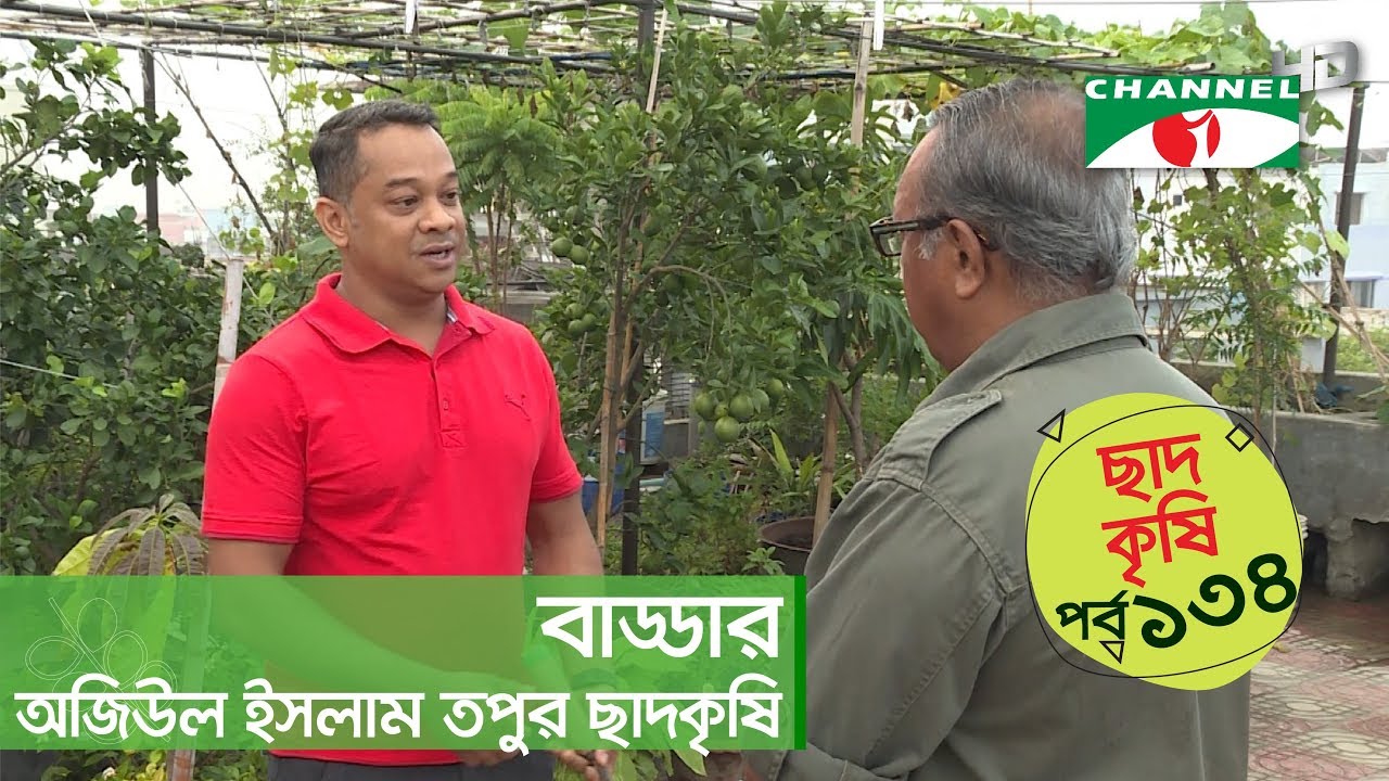 বাড্ডার অজিউল ইসলাম তপুর ছাদকৃষি | পর্ব ১৩৪ | Shykh Seraj | Channel i |
