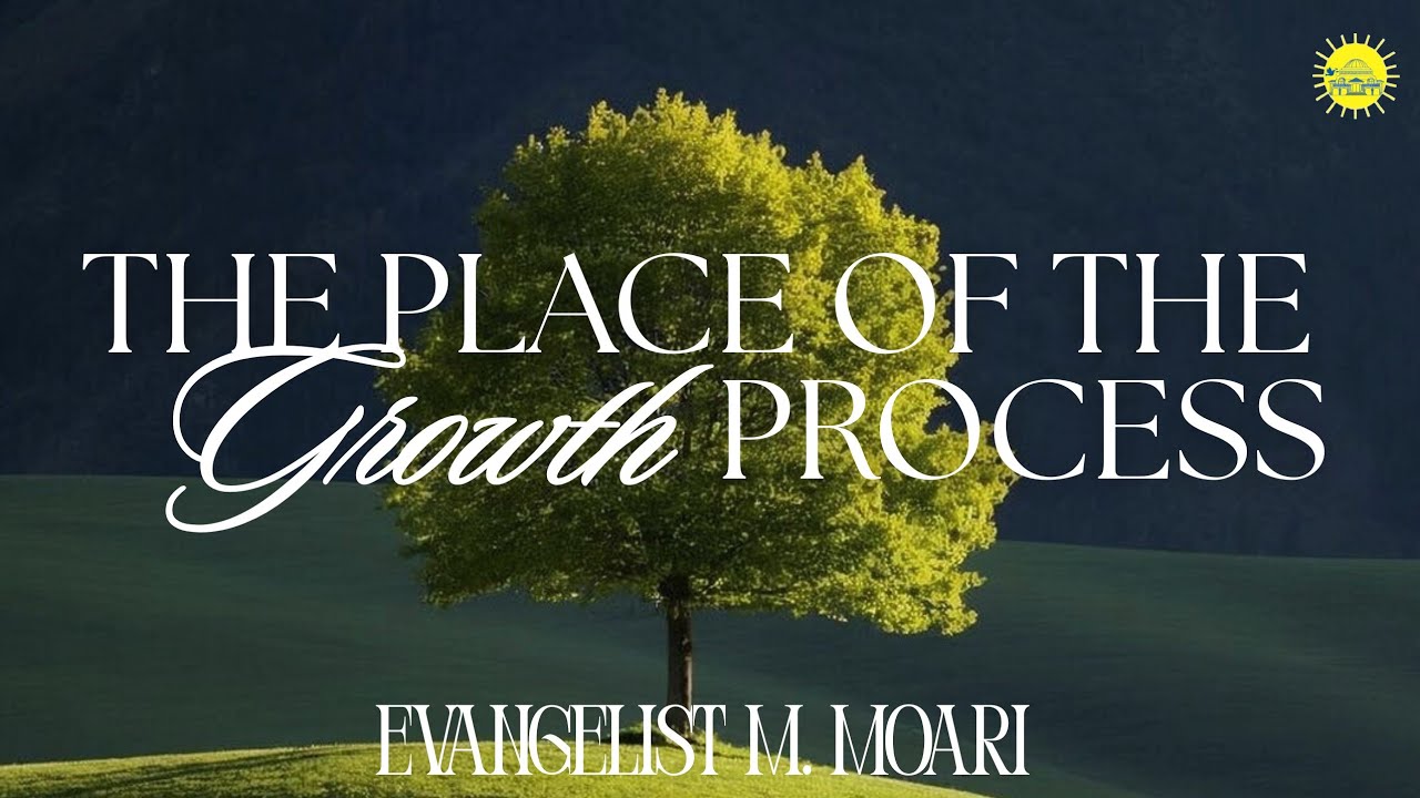 THE PLACE OF THE GROWTH PROCESS