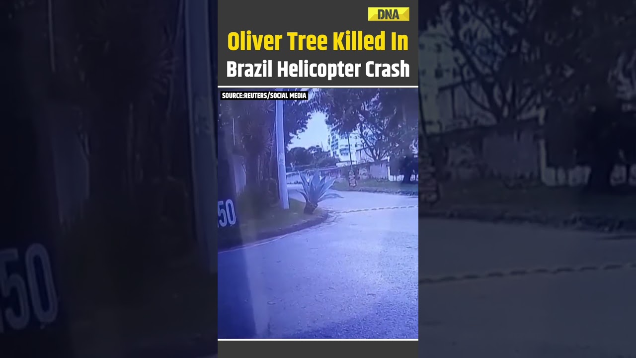 Brazil Helicopter Crash: Singer Oliver Tree Among 6 Killed After Helicopters Collide In Brazil