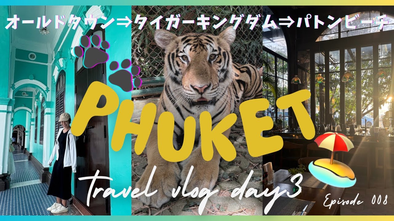 緊張の瞬間⚡トラと対面🐯オールドタウン⇨タイガーキングダム⇨パトンビーチを観光🐾