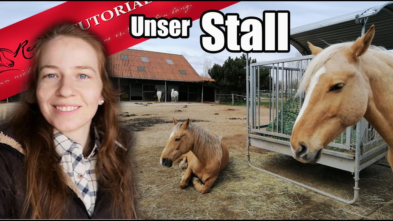 Unser Offenstall - so leben unsere Pferde Teil1/2 // Reitertutorials