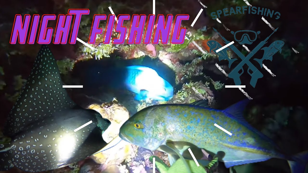 Epic Saipan Night Diving!! [Island Style Living] #TeamPoksu #TeamAquaholic #TeamSuicideSquad!!!