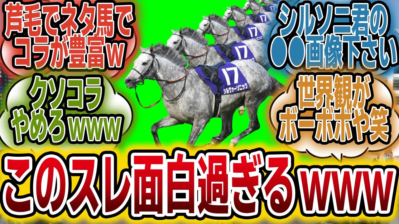 「ふて寝するシルヴァーソニックに駆け寄るシルヴァーソニックの画像ください！」に対するみんなの反応【競馬の反応集】